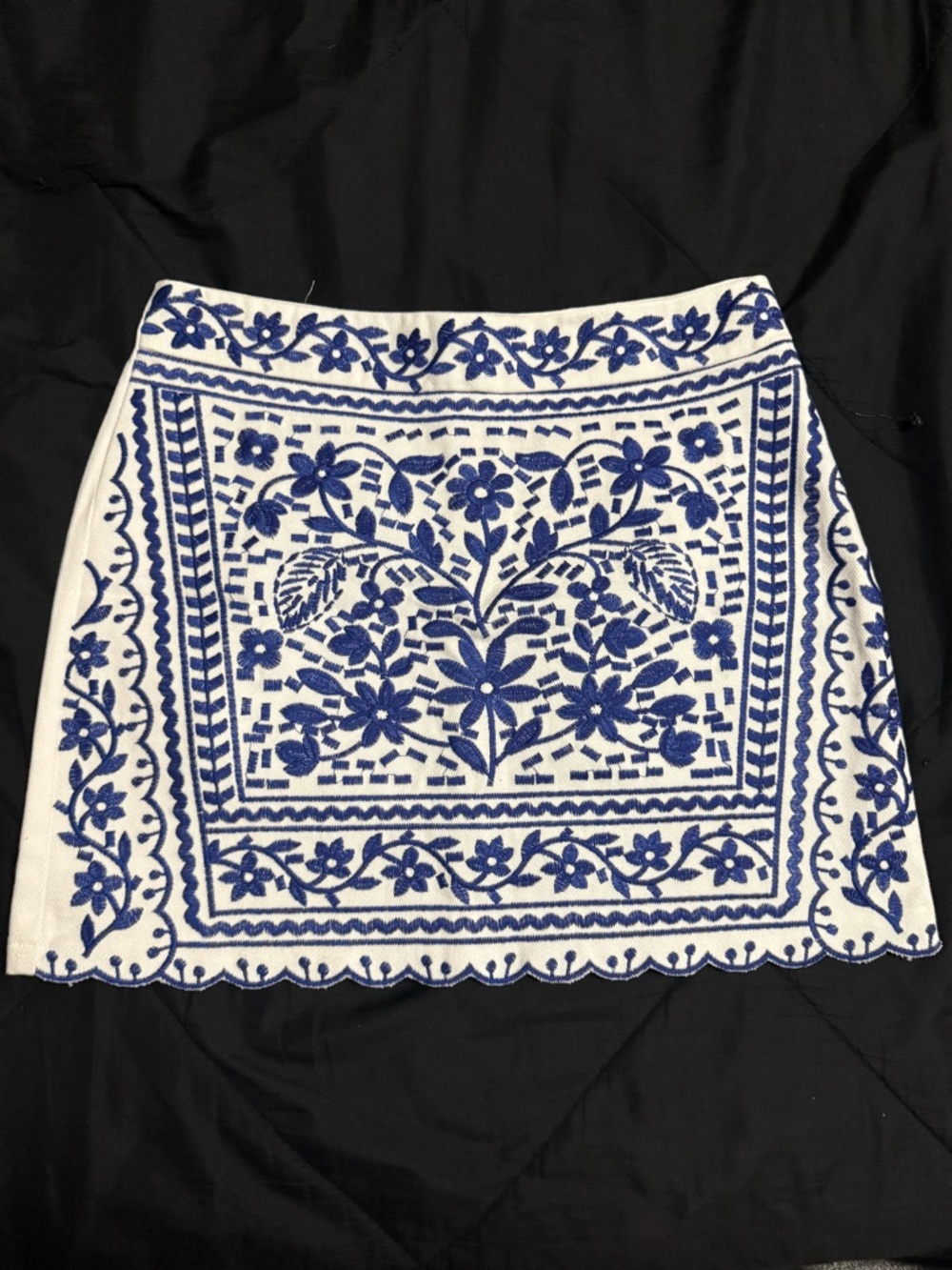Francesca's Collections White Mini Skirt with Blue Floral Embroidery